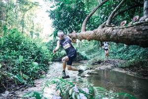 BIB: 
                            <button type="button" onclick="openModal(25430553)" class="btn btn-primary btn-sm float-right btn-popup" data-toggle="modal" data-target=".modal-high-quality">
                        <i class="fas fa-shopping-cart"></i> Add to Cart
                    </button>
                                            <button type="button" onclick="isThisMe(25430553, true)" class="btn btn-success btn-sm float-right btn-popup btn-isme hidden" data-toggle="tooltip" data-placement="bottom" title="นี่คือรูปของคุณใช่ไหม คลิกที่นี่เพื่อเอาเข้าอัลบั้ม">
                        <i class="fas fa-plus"></i> Add to album
                    </button>
                    <button type="button" onclick="isThisMe(25430553, false)" class="btn btn-warning btn-sm float-right btn-popup btn-isnotme hidden">
                        <i class="fas fa-ban"></i> Remove from album
                    </button>